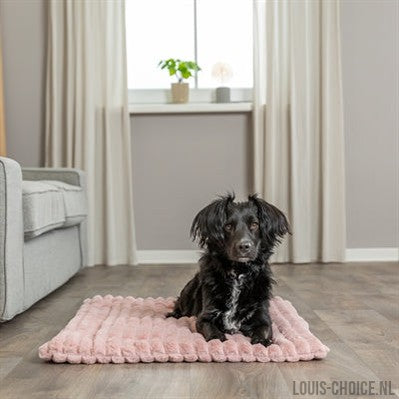 Trixie Ligmat Lonni Ribfluweel Roze-TRIXIE-Louis Choice