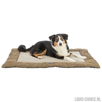Trixie Ligmat Viviana Bruin-TRIXIE-Louis Choice