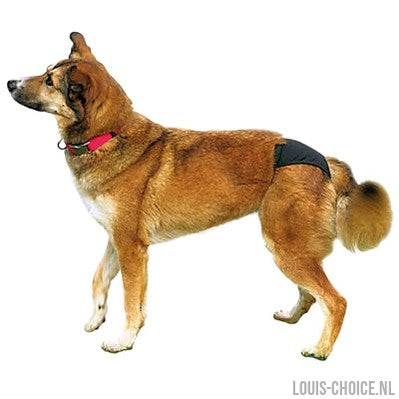 Trixie Loopsheidbroekje Zwart-TRIXIE-Louis Choice
