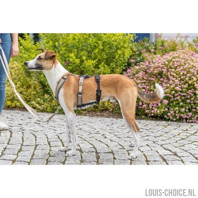 Trixie Paniekadapter Stay Voor Tuigen Zwart-TRIXIE-Louis Choice