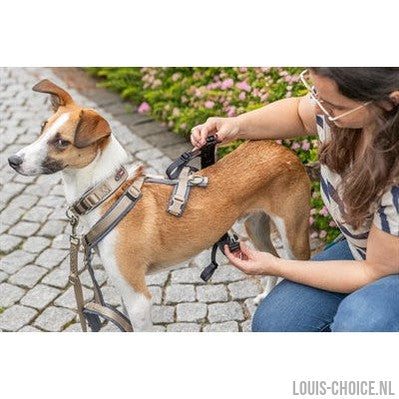 Trixie Paniekadapter Stay Voor Tuigen Zwart-TRIXIE-Louis Choice