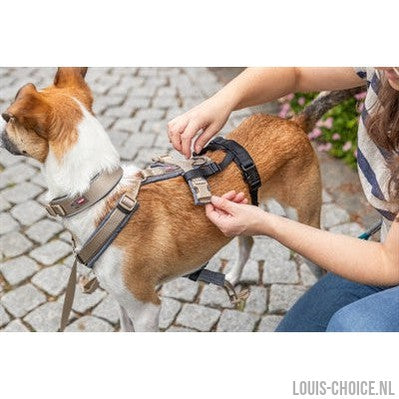 Trixie Paniekadapter Stay Voor Tuigen Zwart-TRIXIE-Louis Choice