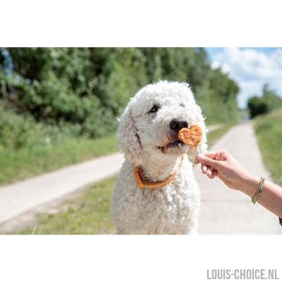 Trixie Premio Lolly Met Kip En Rijst-TRIXIE-Louis Choice