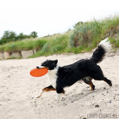 Trixie Rubber Frisbee Dog 0 Soar Assorti-TRIXIE-Louis Choice