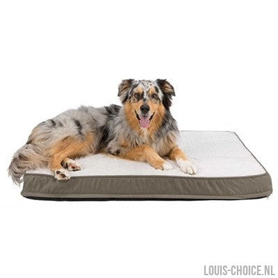 Trixie Vitaal Orthopedisch Kussen Taupe/Lichtgrijs-TRIXIE-Louis Choice