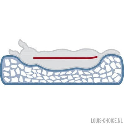 Trixie Vital Hondenkussen Bendson Orthopedisch Grijs-TRIXIE-Louis Choice