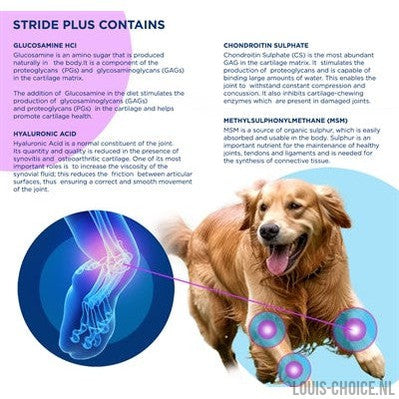 Trm Stride Plus-TRM-Louis Choice