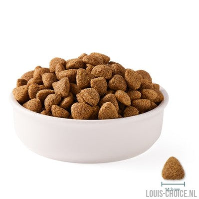 Yarrah Dog Biologische Brokken Vega Baobab / Kokosolie-YARRAH-Louis Choice