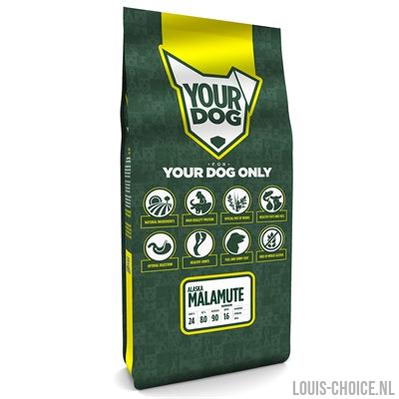 Yourdog Alaska Malamute Senior-YOURDOG-Louis Choice