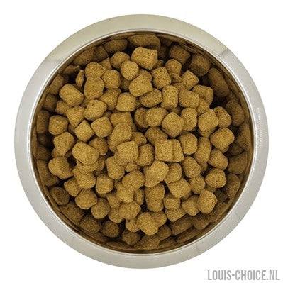 Yourdog Chien Français Blanc Et Orange Volwassen-YOURDOG-Louis Choice