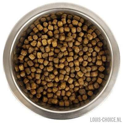 Yourdog Koningspoedel Pup-YOURDOG-Louis Choice