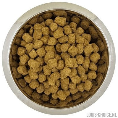 Yourdog Koningspoedel Senior-YOURDOG-Louis Choice