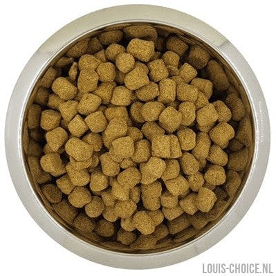 Yourdog Koningspoedel Volwassen-YOURDOG-Louis Choice