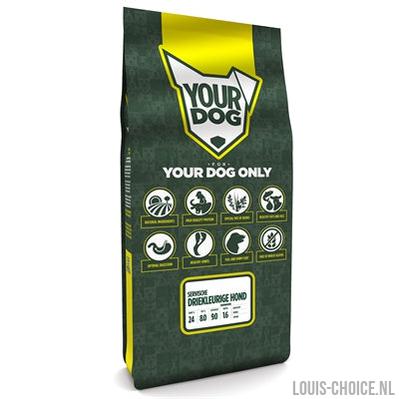 Yourdog Servische Driekleurige Hond Senior-YOURDOG-Louis Choice