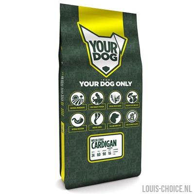 Yourdog Welsh Corgi Cardigan Senior-YOURDOG-Louis Choice