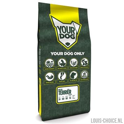 Yourdog Welsh Terriër Senior-YOURDOG-Louis Choice