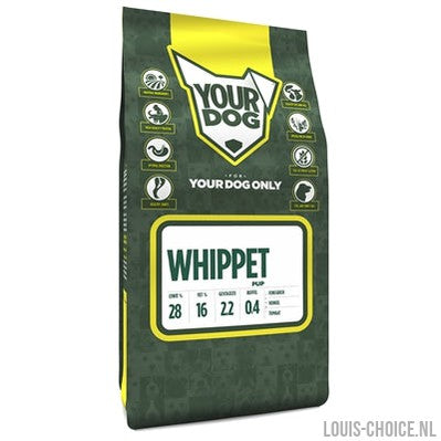 Yourdog Whippet Pup-YOURDOG-Louis Choice