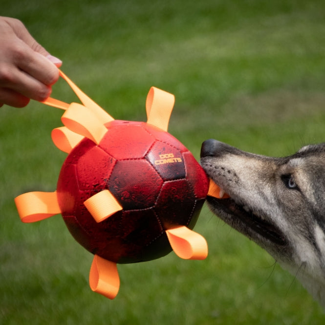 Dog Comets - Bal Hypernova - Groen