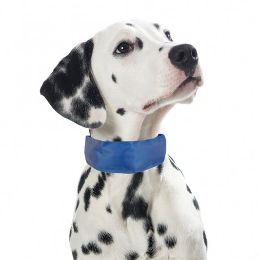 PROCYON Koel-Bandana voor Honden - L