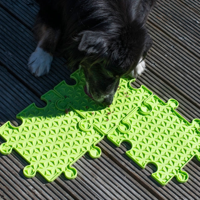 PROCYON Ladi Mat Likplaat Puzzle