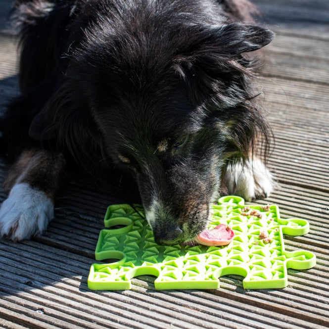 PROCYON Ladi Mat Likplaat Puzzle
