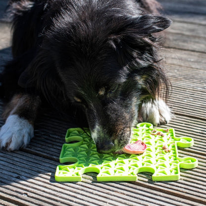 PROCYON Ladi Mat Likplaat Puzzle
