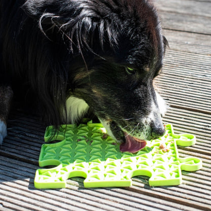 PROCYON Ladi Mat Likplaat Puzzle