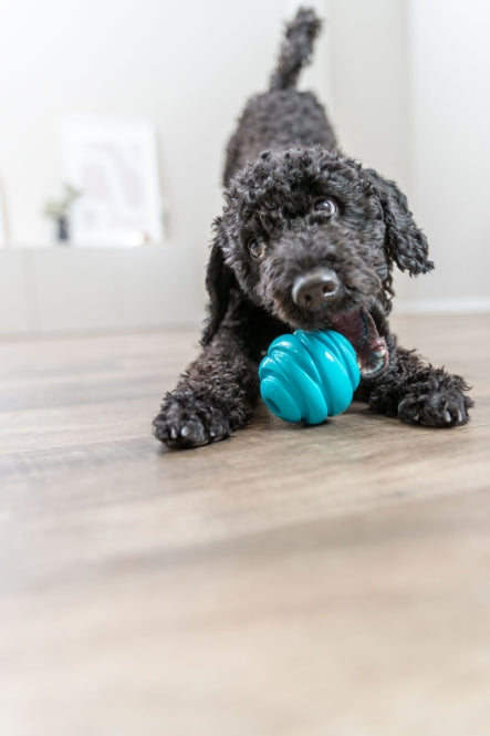 Trixie Super Strong Bal - 6 cm