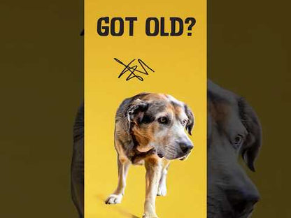 Excellent Pets Dog Mobility Soft Chews