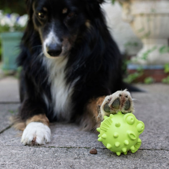 PROCYON TPR Snackbal Vis