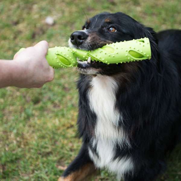 PROCYON - TPR - Dummy