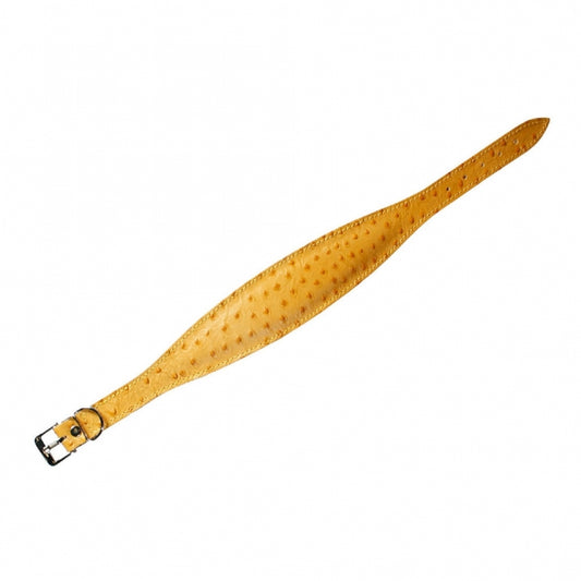 Karlie Windhond-Halsband Ventus - 55cm / Geel