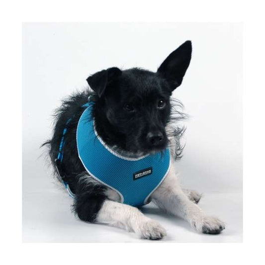 Pet-Star Softtuig / Nettuig - Blauw - XL