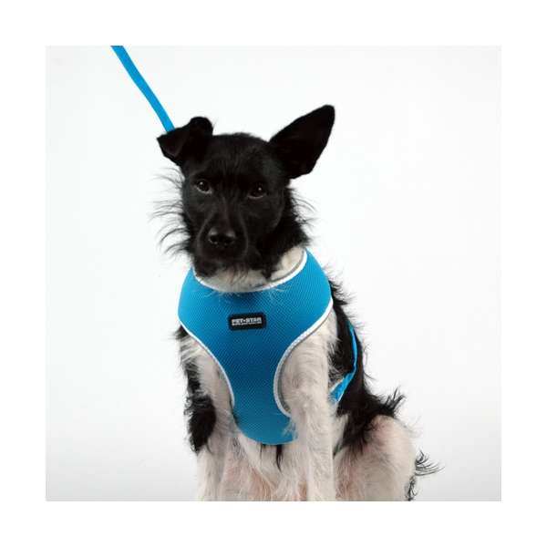 Pet-Star Softtuig / Nettuig - Blauw - XL