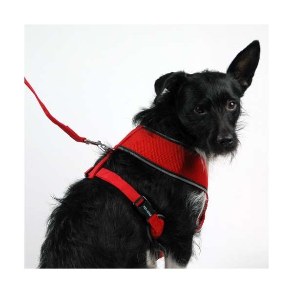 Pet-Star Softtuig / Nettuig - Rood - XL