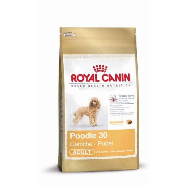 Royal Canin Poedel Adult - 500 g